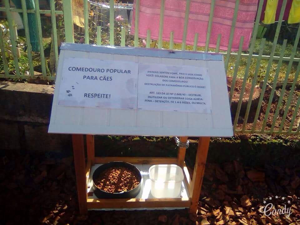 Ir para  <p><big>A GAAV(Grupo de ajuda aos animais viadutenses), realizou no &uacute;ltimo domingo, 06/08, a coloca&ccedil;&atilde;o de comedouros onde c&atilde;es de rua podem se alimentar com ra&ccedil;&atilde;o e...
